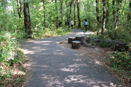 Natural seating in shade along Oak Trail – off paved trail on natural surface